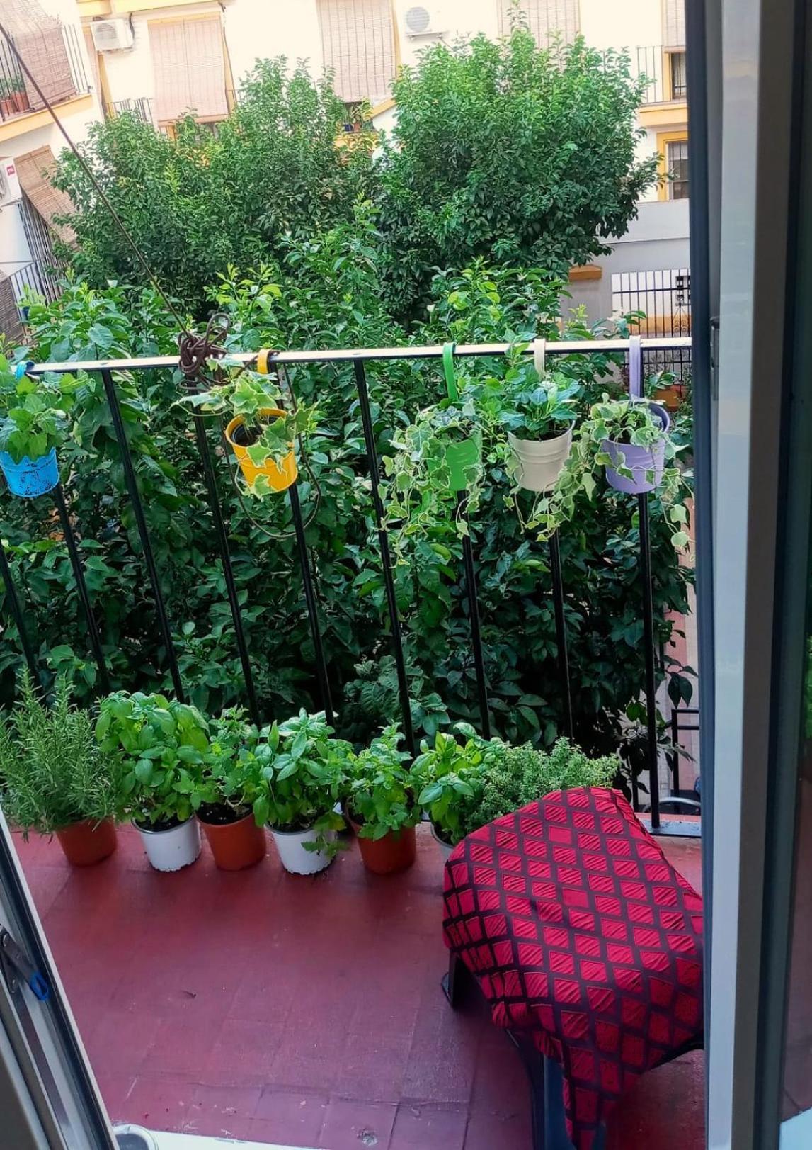 Roberta'S Guest House セビリア エクステリア 写真
